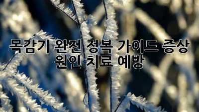 목감기 완전 정복 가이드: 증상, 원인, 치료, 예방