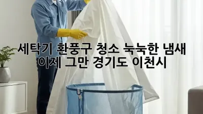 세탁기 환풍구 청소: 눅눅한 냄새, 이제 그만! (경기도 이천시)